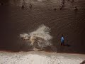 Salinas. Careca. Papai
