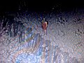 the immortal sorcerer beren commits suicide by teleporting himself over a pit of lava in the daemon's mouth after greeting the avatar.
