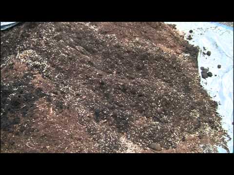 Jade Tree Plant Care : Gardening Advice - YouTube How to Make Square Foot Gardening Soil Mix - in Real Time