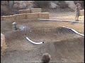 E-Revo @ Barona Speedway