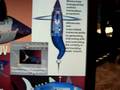 US Navy Ghost Swimmer UUV - Autonomous Blue Tuna - Torpedo. Robo Dev. Conf. Nov 2008