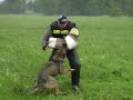 Gina z Librova dvora (protection) -  for sale