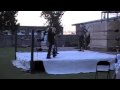LBW Unleashed