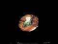 paul mccartney - red rose speedway 1973 (full album) 1.- big barn bed 2.- my love 3.- get on the right thing 4.- one more kiss 5.- little lamb dragonfly 6.- ...