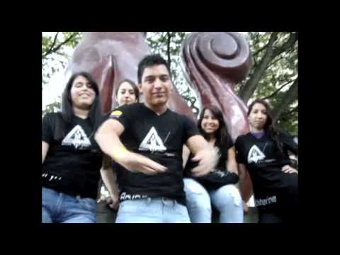 Proyecto Prestige 2011 -