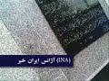 گزارشی از قطعه 257 بهشت زهرا محل دفن شهدای سبز
