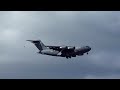 Bird Attacks C-17, P