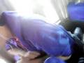 videos de prepa 5 desmadre rumbo a tlaxcala