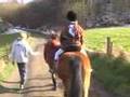 promenade sur un poney www.spa-durbuy.com