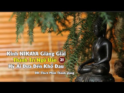 Kinh NIKAYA Giảng Giải - Thánh Trí Ngũ Uẩn 21 - Hỷ Ái Đưa Đến Khổ Đau