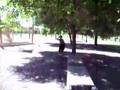 Fantasmas de Rosario