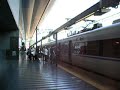 thunderbird leaves kyoto 