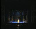 Vedova Allegra V.Grigolo - F.Bragaglia Duet 2° Parte