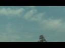 3D RC Ornithopter !!  Buteo V2 - Success of Looping