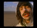 Barth - Label Ici d'ailleurs - The Last Wig