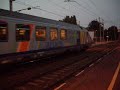BB26000 en pousse