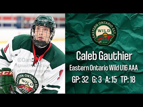 2024-2025 Highlights