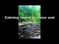 Calming sound of water and crickets