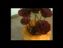 Piccoli Vegetali - Garofano di rapa rossa CD13