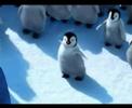 VIDEO-ORIGINAL-te-qu