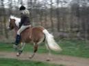 Ik in galop op danet zonder zadel! Ik in galop op danet zonder zadel!