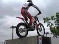 Shaun Morris