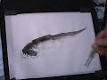 How do You Know the Fish is Happy? How do You Know the Fish is Happy?