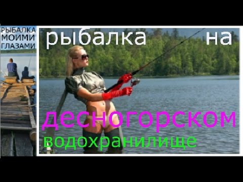 как ловить в десногорске как ловить в десногорске