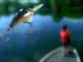 Bass Striking Crank Bait