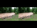 Callicoon Creek Flooding