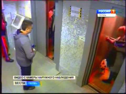 WATCH: Leash gets caught in elevator!