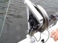 HOW TO catch Dungeness Crab