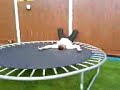 trampoline boy5 trampoline boy5