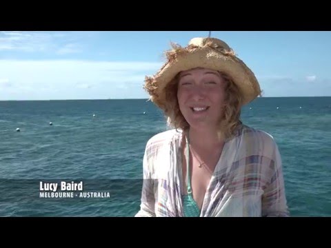 Great Barrier Reef Today - Moore Reef with Sunlover Reef Cruises