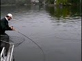 Weird Fishes: Muskie