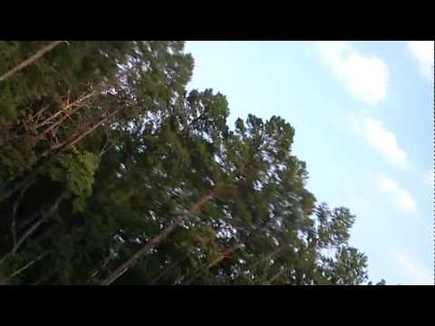 Watch RC Video: 'Aiptek HD camera takes ride into tree...and survives.'