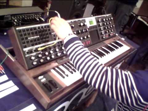 moog minimoog
