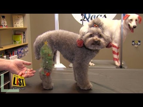 dogs at the holidays - The holiday season has gone to the dogs. The List shows you how you can make your furry friend extra festive.