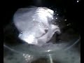 sudsy wash part 4 sudsy wash part 4
