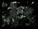 Lucas and Peyton-Some streets lead nowhere