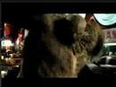 the incredible Hulk (T�rk�e altyaz?)