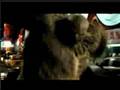 the incredible Hulk  T�rk�e altyaz� 