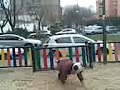en el parque