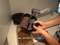 http://www.acuafilia.com el Blog de peces y acuarios. La limpieza del filtro exterior es una tarea sencilla, que debe hacerse cada dos o tres meses, por termino medio y dependiendo de las condiciones del acuario, no se debe tardar en todo el proceso no se debe tardar más de 45 minutos, para evitar la muerte de las bacterias nitrificantes que se instalan en los materiales filtrantes.El metodo de limpieza tambien sirve para los filtros 2222, 2322, 2324. Cleanliness Eheim external filter 2224 professionel.Visita www.acuafilia.com el blog de peces y acuarios