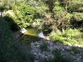 sound of summer, stream, river, green, rocks.....
