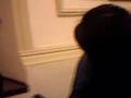 videos de EL LAPOOO!!!