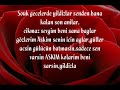 Sen BeniM HErSeyimSin!!!!!!