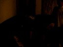 de risas en casa de jhon,patadones en la cabeza cn el casco