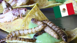 Mexikanische Rezepte