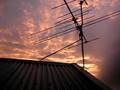 DSCN2124.MOV